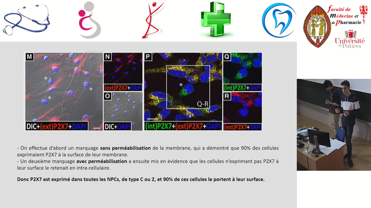 Index Of Medias Videotheque Datas Slides 2sic13xsa95jnrv25yge